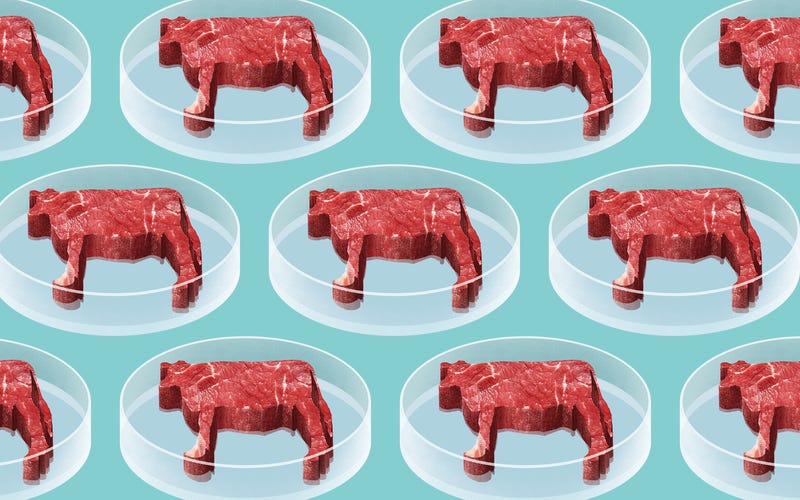 RÃ©sultat de recherche d'images pour "zero hunger cultured meat"