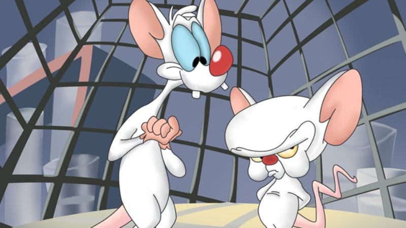 Illustration for article titled Pinky And The Brain’s original voice actors return to swear profusely at each other
