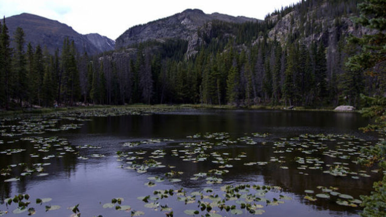 Why The Best Place To Survive The Zombie Apocalypse Is The Rockies