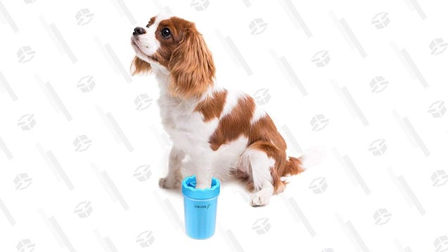 If Your Dog Always Tracks Mud Into the House, You Need This $9 Paw Cleaner