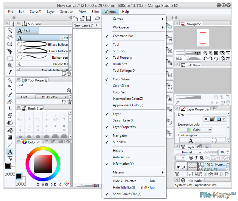 manga studio 5 ex serial number