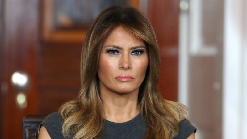 Illustration for article titled Everything I Learned From a New Biography of Melania Trump