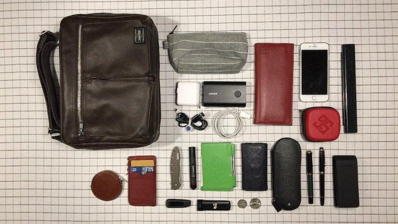 The Case-For-Everything Bag