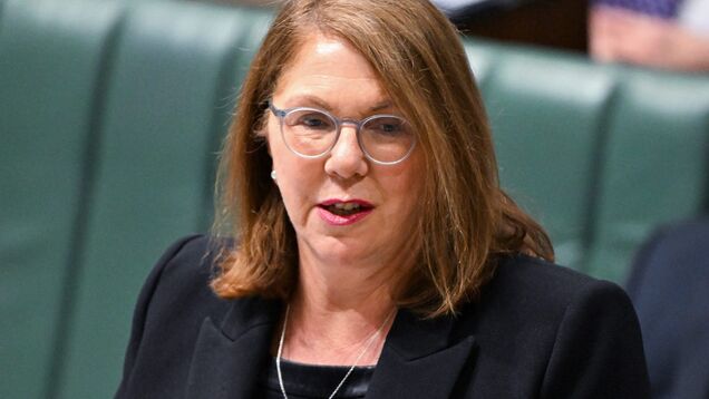 Australian minister says invasive examinations were part of reason Qatar Airways was refused flights Australian minister says invasive examinations were part of reason Qatar Airways was refused flights