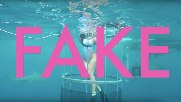 That Viral Porn Star Shark Bite Video Is Totally Fake | Gizmodo | Bloglovin'
