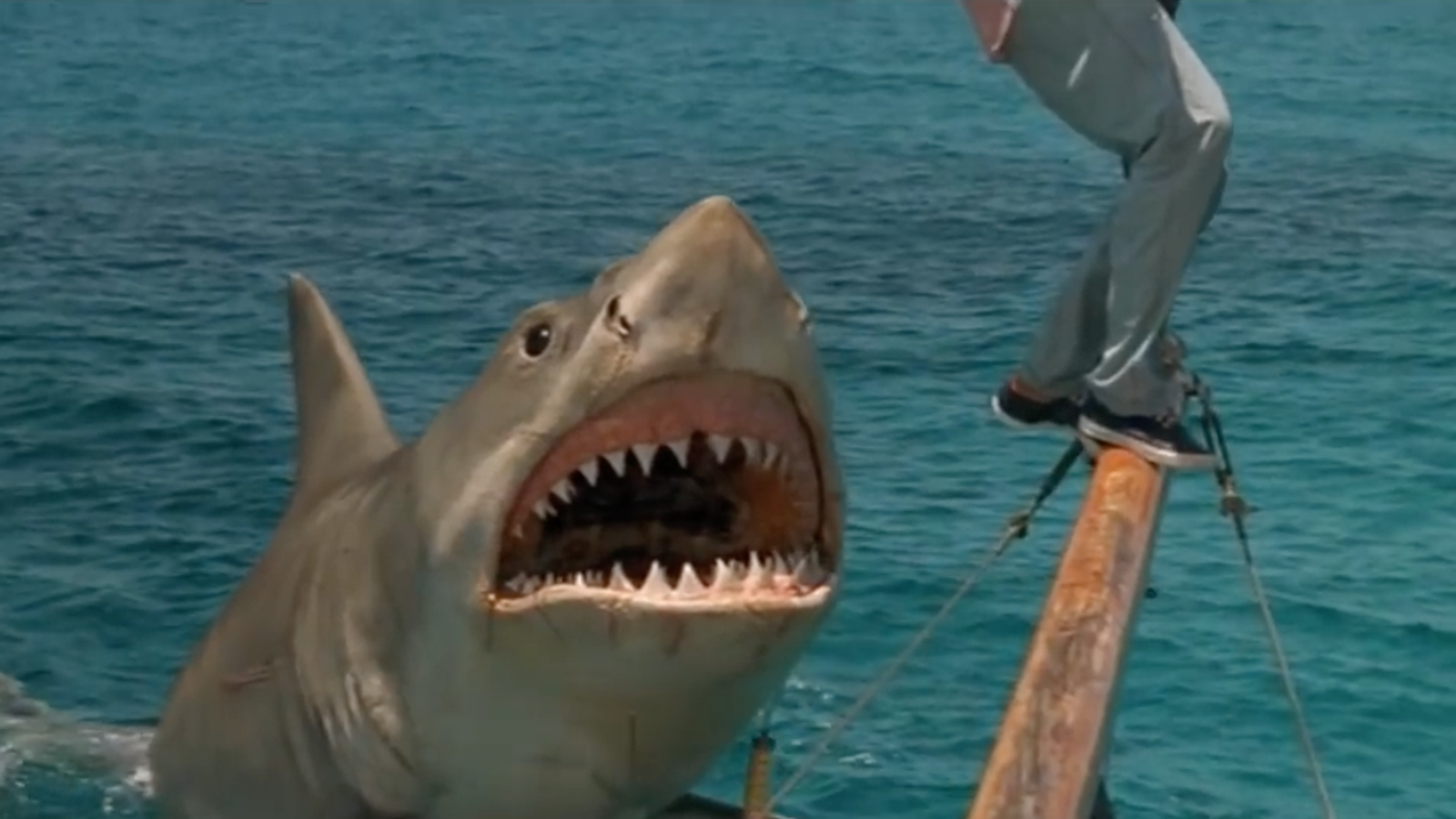 5 Best Worst Jaws Rip Off Movies Sharks Orcas Bad Effects