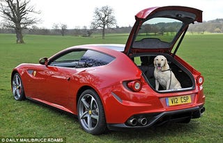 Illustration for article titled How much money will you spend on a pet?