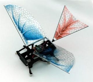 Illustration for article titled Winged robot hints at the evolution of flight