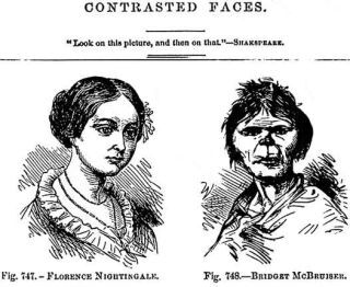 Illustration for article titled 