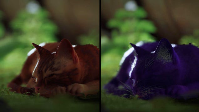 Why The Cat In Stray Is Orange (And How You Can Change It)