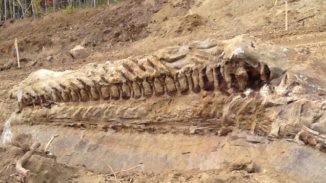 fossil dig sites around the world