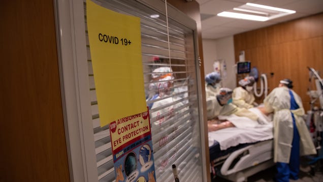 Someone's Leaked the Covid-19 Hospitalization Data That Trump's Kept Under Wraps