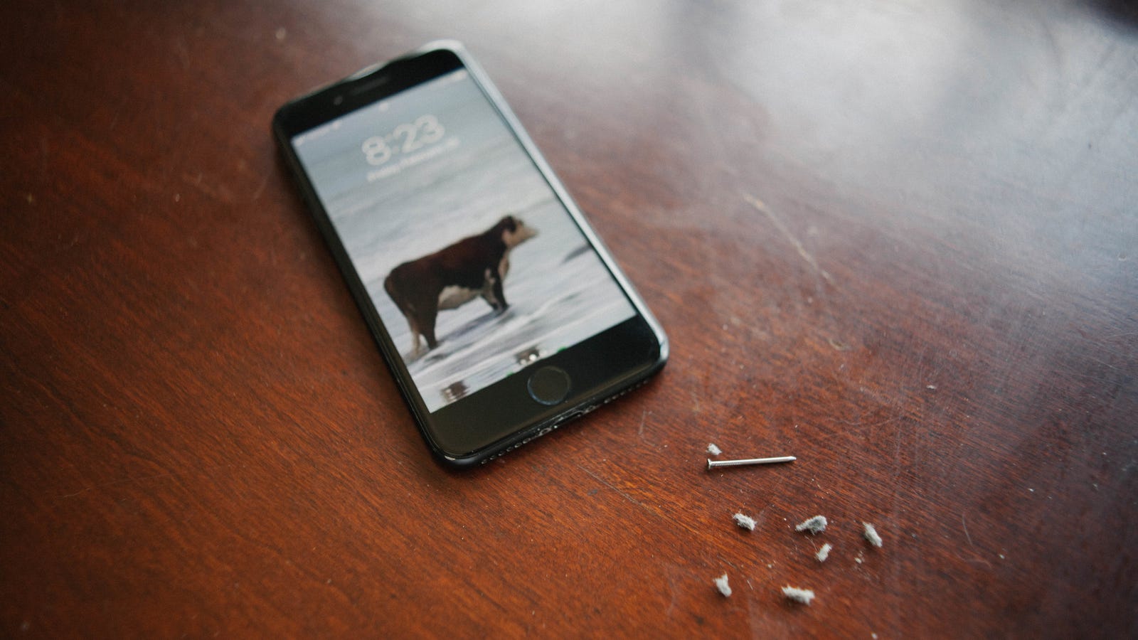Look how disgusting your iphone s lightning port probably is