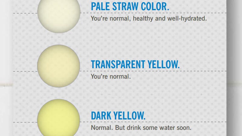 What are some reasons urine turns fluorescent yellow?
