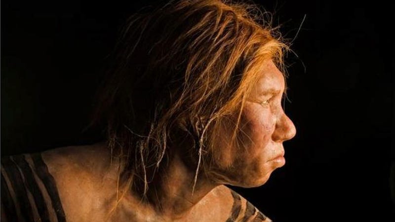 Researchers Sequence Full Neanderthal Genome 8288
