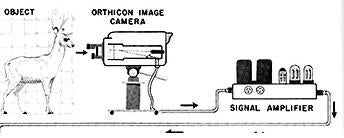Illustration for article titled Even Back in 1965, Tiny Humans Didn't Live in Your TV Set