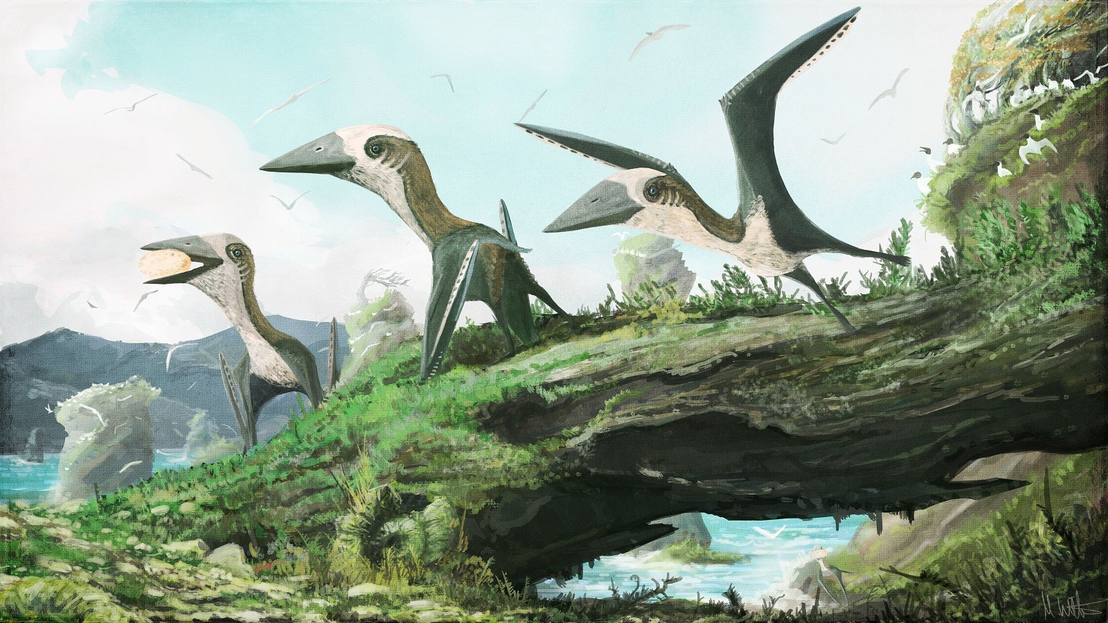 largest flying reptile