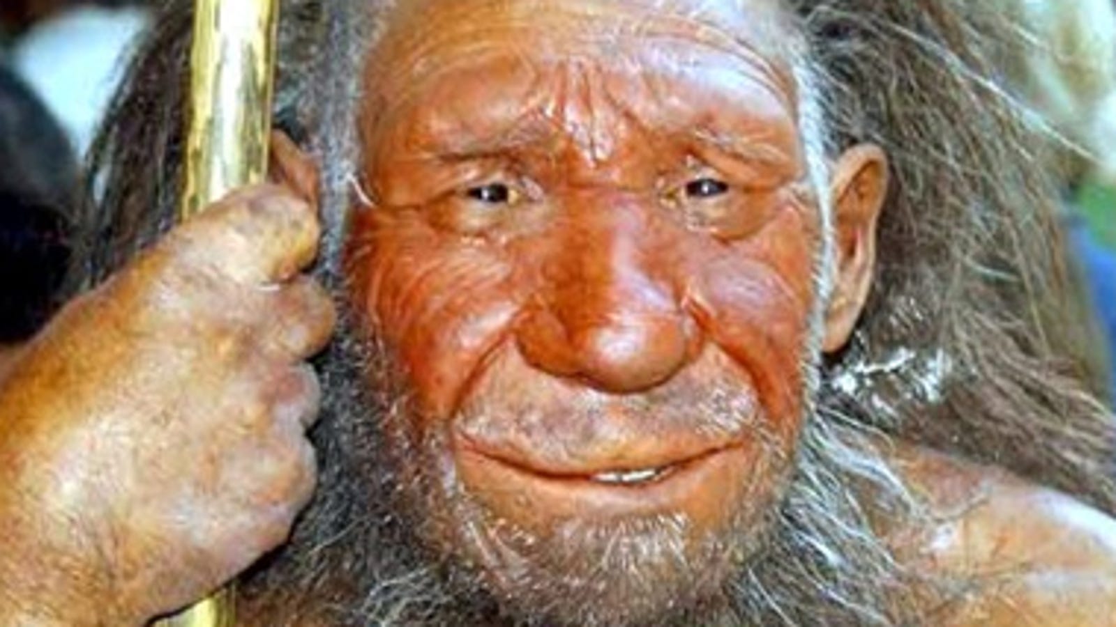 It's Official: Some Of You Are Human-Neandertal Hybrid Babies