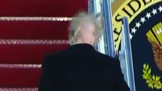 Donald Trump Has a White Man's Lace Front and He Almost Watched It Blow Away