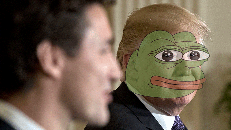 onion face troll Donald The Becoming Frog? Pepe Is Trump