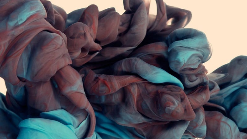 Illustration for article titled Can you guess the subject of this photograph?