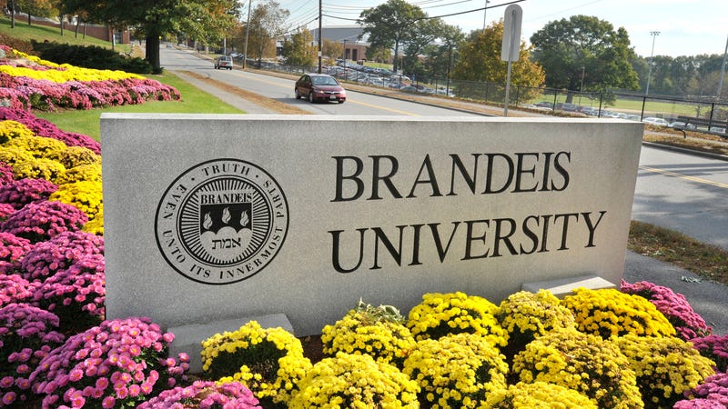Image result for Brandeis University