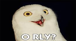 Illustration for article titled O Rly?