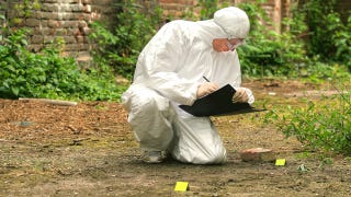 Illustration for article titled How forensic pathologists used maggots to identify an "unrecognizable" body