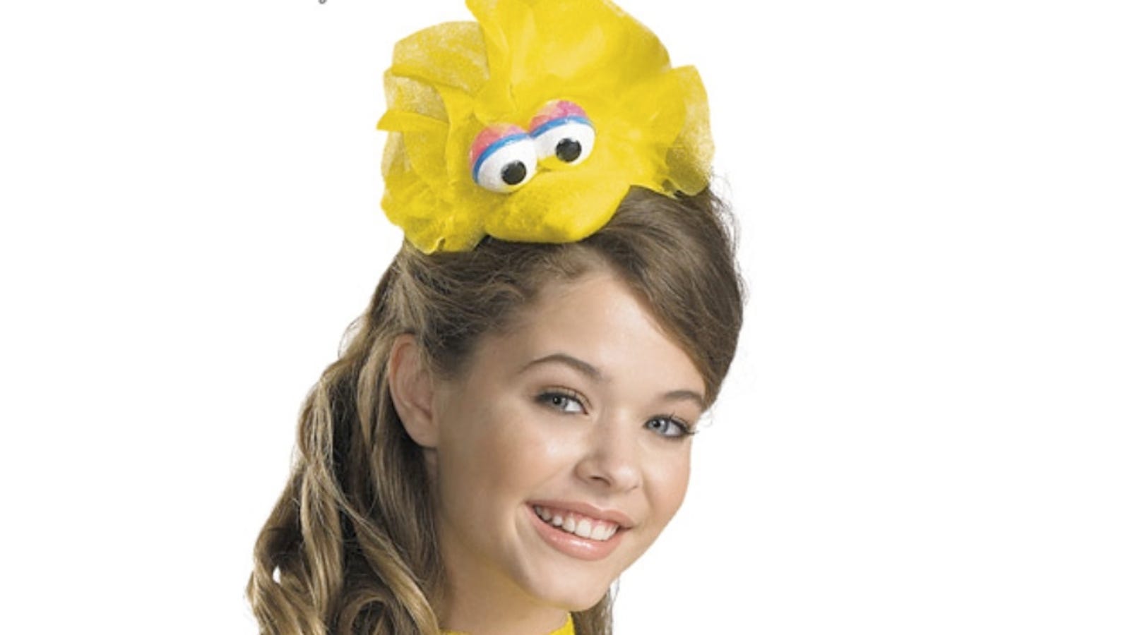 Sesame Street Displeased That Women Want To Be Sexy Big Bird For 