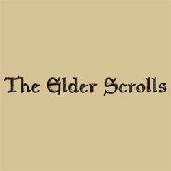 Illustration for article titled Bethesda Have "No Plans" For More Elder Scrolls