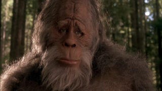 Illustration for article titled Researchers publish Bigfoot genome in brand-new journal they themselves founded