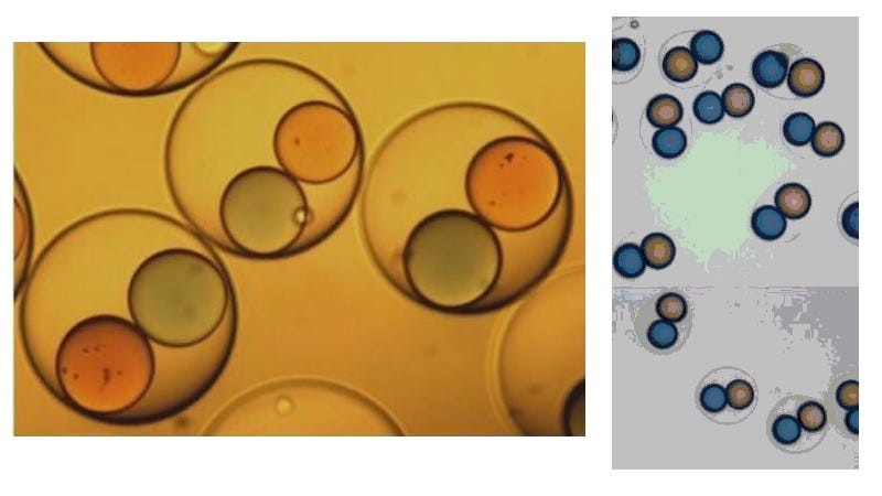 Illustration for article titled These Ready-to-Mix Drug Capsules Are the Size of a Red Blood Cell