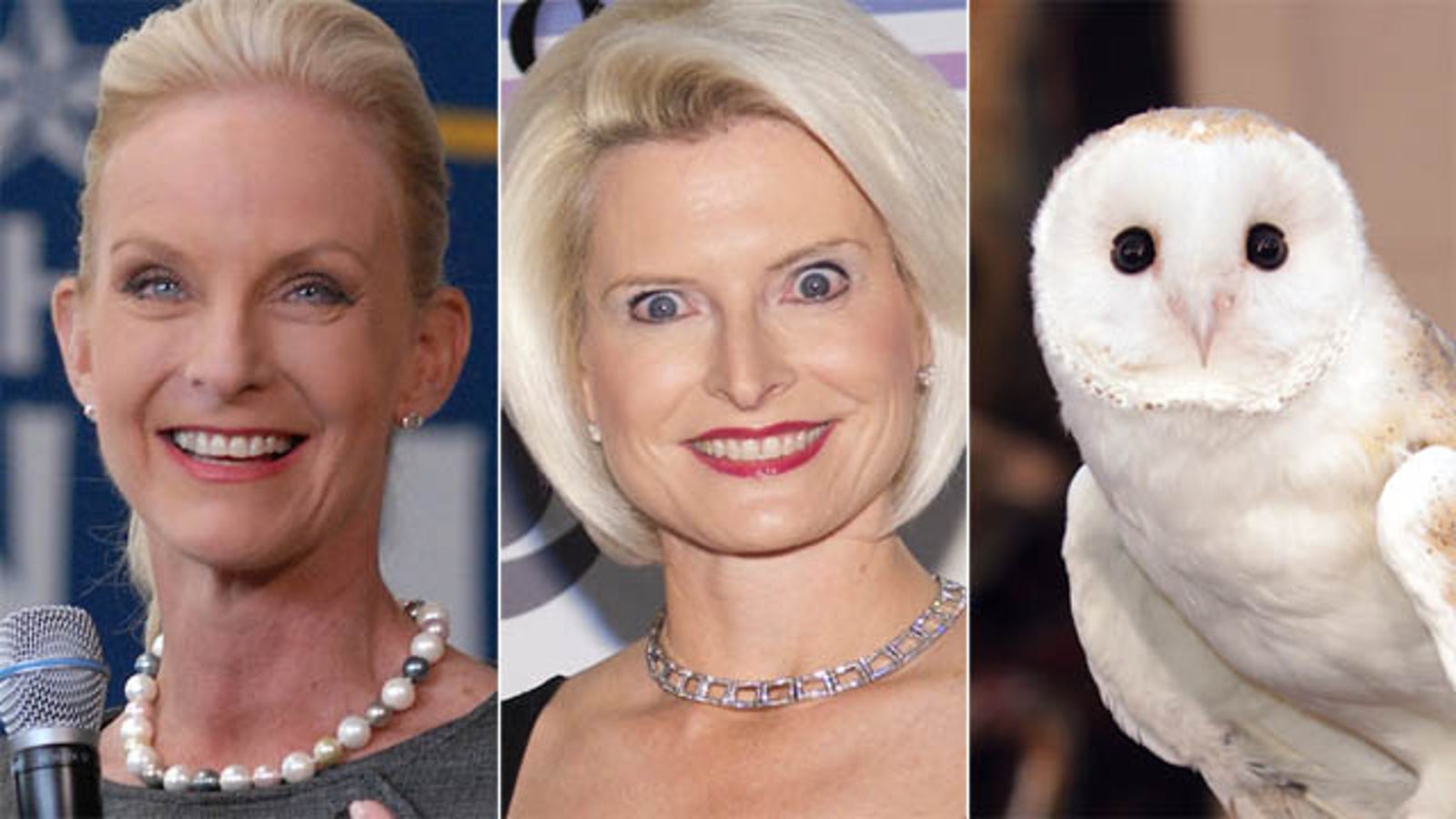 Theres Something Familiar About Callista Gingrich 