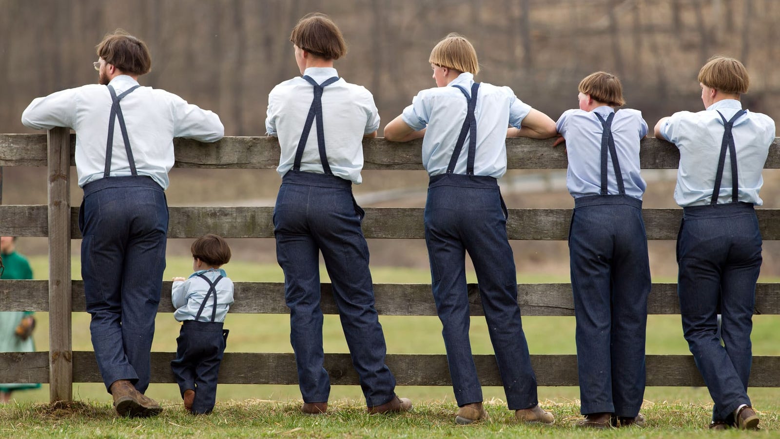 Encuentran en una comunidad Amish de EE.UU una extraña mutación genética que podría combatir el envejecimiento