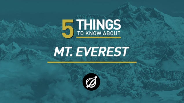 5 Things To Know About Mt. Everest