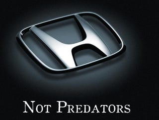 Illustration for article titled Honda Urges Dealers Not To Be Dickish About Toyota Recalls