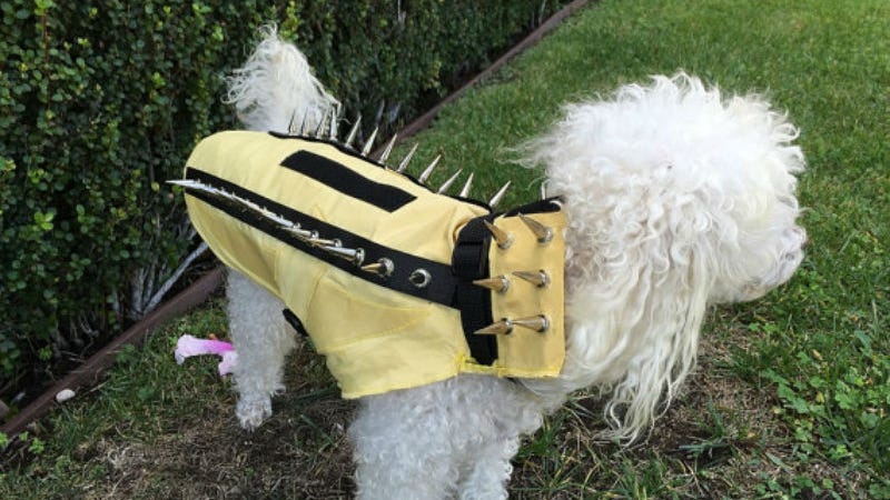 Turn Your Dog Into a Punk Porcupine Weapon With This Anti-Coyote Kevlar ...