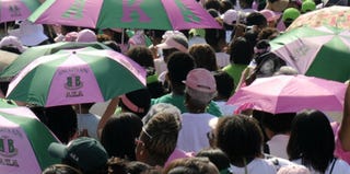 AKAs participate in the 2008 Unity Day March in Washington, D.C. (the Washington Post)