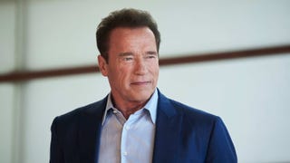 Arnold Schwarzenegger shares statement on Eliza Dushku's <i>True Lies assault allegation</i><em></em>