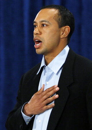 Illustration for article titled Tiger's Back!