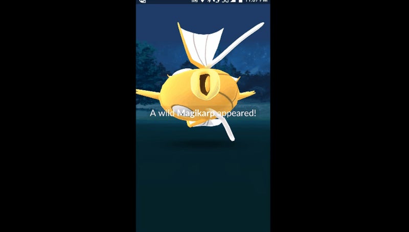 Resultat d'imatges de en pokemon go shiny magikarp