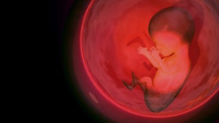 Illustration for article titled Another Study Suggests 'Fetal Pain' Laws Are Totally Bogus