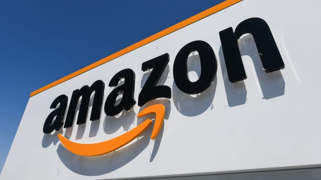 Amazon Fires Worker Who Organized Strike Over Conditions Amid Coronavirus Outbreak