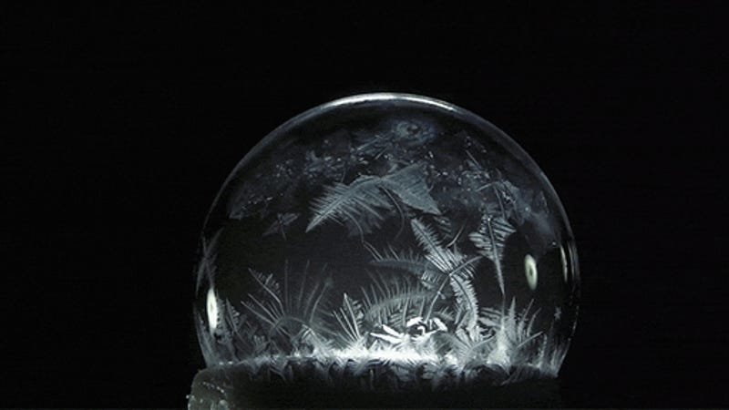 photo of The Patterns That Come Out When Bubbles Freeze Are So Cool image