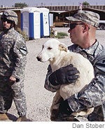 Illustration for article titled In Iraq, Brave Troops Open The Hotel Rwanda Of Puppies