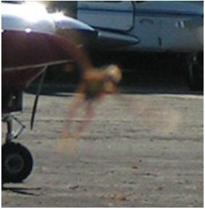 Illustration for article titled Mysterious, Ultra-Fast "Flying Entity" Photographed in Argentinian Airport
