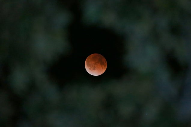 El eclipse lunar total de hoy, en imágenes