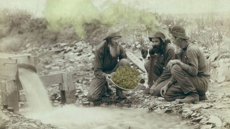 Image: Wikimedia Commons/Gizmodo
