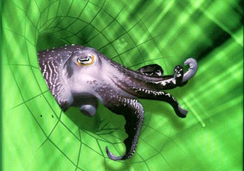 Illustration for article titled Postsingular Is Rudy Rucker's Wildest Ride Yet