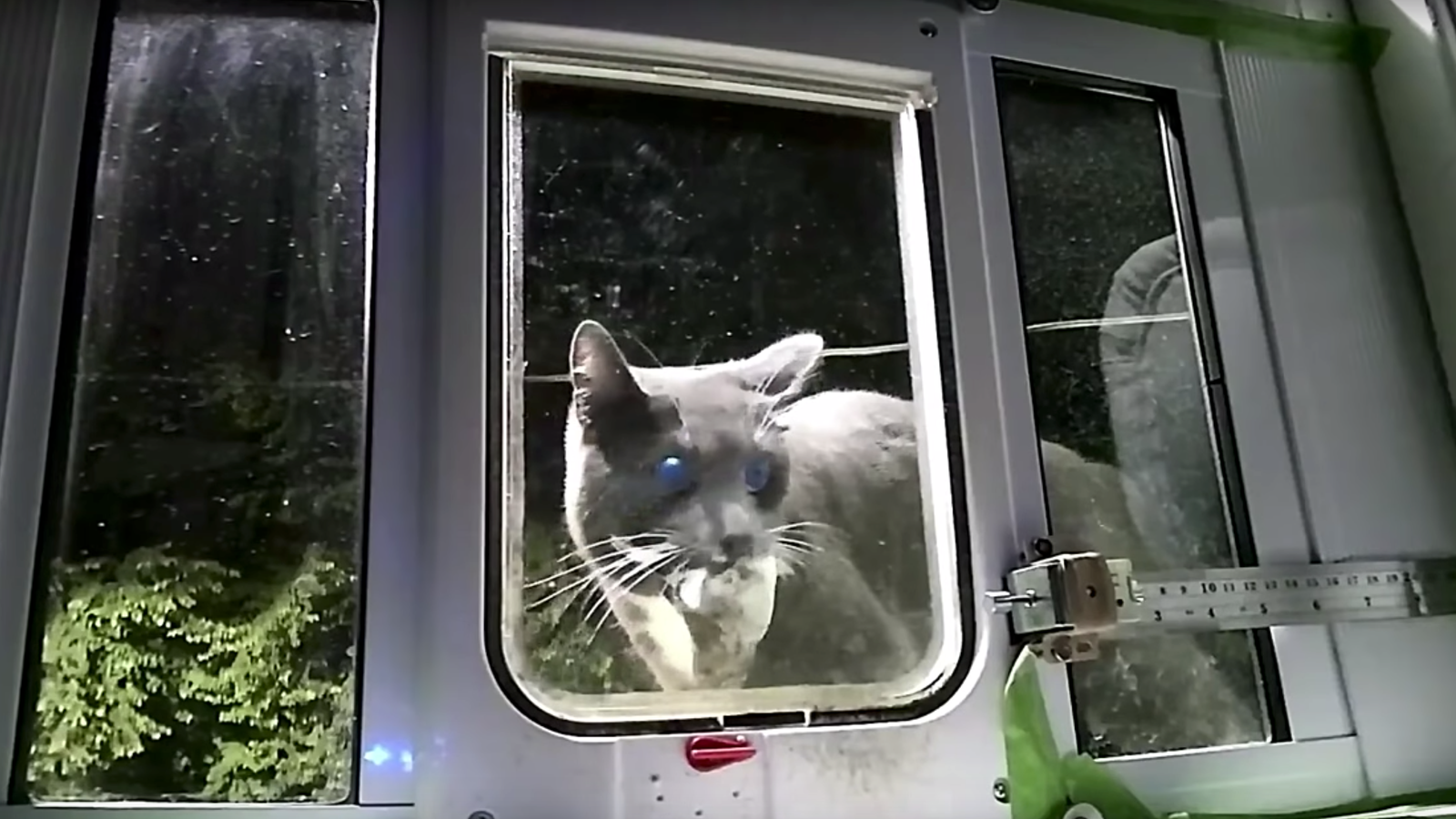 This AI-Powered Cat Door Is a Brilliant Way to Keep a Kitty's Murder Presents Outside - Gizmodo thumbnail